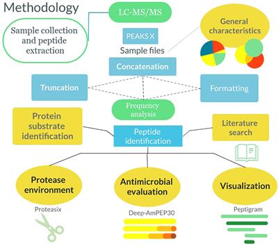 Bioinformatic Analysis of the Wound Peptidome Reveals Potential Biomarkers and Antimicrobial Peptides